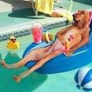 Meet your Posher, Rodney